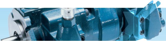 Flügelzellen-Pumpen